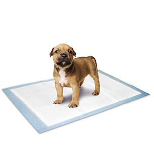Flamingo Puppy Pads - M